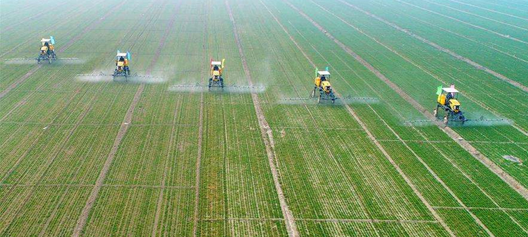 為農(nóng)服務(wù)國(guó)家隊(duì)-1