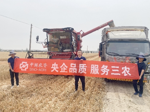 三夏大忙助豐收系列1：田間助農(nóng)，顆粒盡收